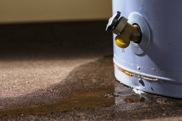 Best Ceiling water damage repair  in Madison Center, CT