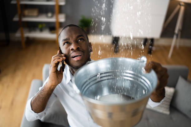 Best Ceiling water damage repair  in Madison Center, CT