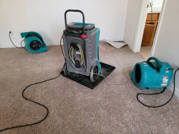 Best Emergency water extraction  in Madison Center, CT