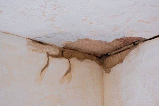 Best Residential water damage restoration  in Madison Center, CT