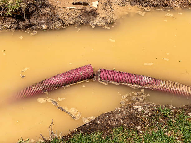 Best Water damage cleanup near me  in Madison Center, CT