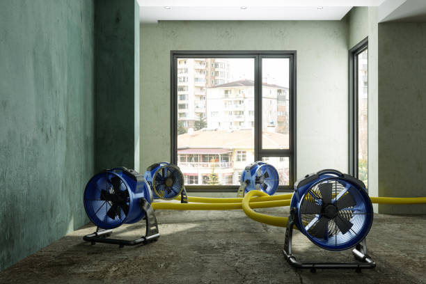 Best Water damage restoration near me  in Madison Center, CT